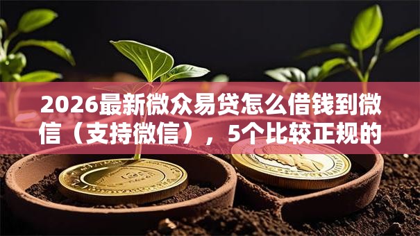 2026最新微众易贷怎么借钱到微信（支持微信），5个比较正规的网贷平台无私分享