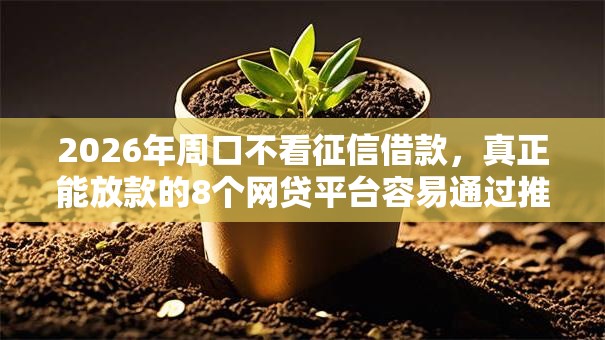 2026年周口不看征信借款,真正能放款的8个网贷平台容易通过推荐 2026年周口不看征信借款,真正能放款的8个网贷平台容易通过推荐