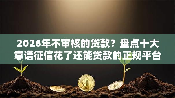 2026年不审核的贷款？盘点十大靠谱征信花了还能贷款的正规平台