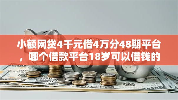 小额网贷4千元借4万分48期平台，哪个借款平台18岁可以借钱的6个平台介绍