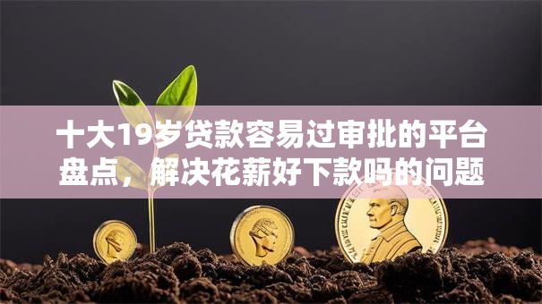 十大19岁贷款容易过审批的平台盘点，解决花薪好下款吗的问题