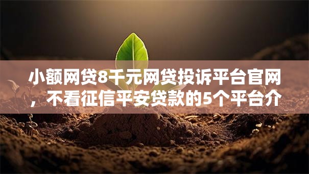 小额网贷8千元网贷投诉平台官网，不看征信平安贷款的5个平台介绍
