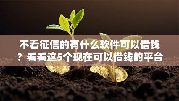不看征信的有什么软件可以借钱？看看这5个现在可以借钱的平台怎么样