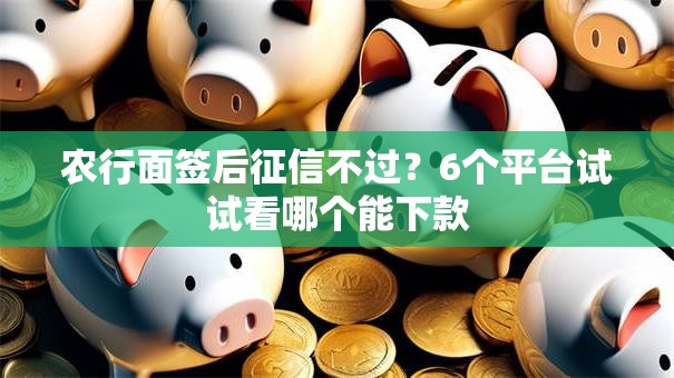 农行面签后征信不过？6个平台试试看哪个能下款