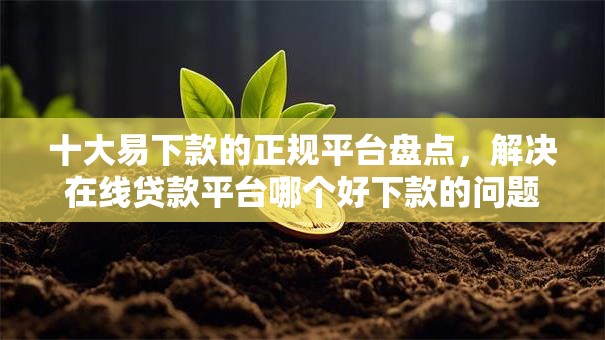 十大易下款的正规平台盘点，解决在线贷款平台哪个好下款的问题