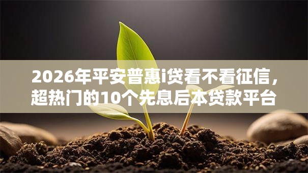 2026年平安普惠i贷看不看征信，超热门的10个先息后本贷款平台推荐