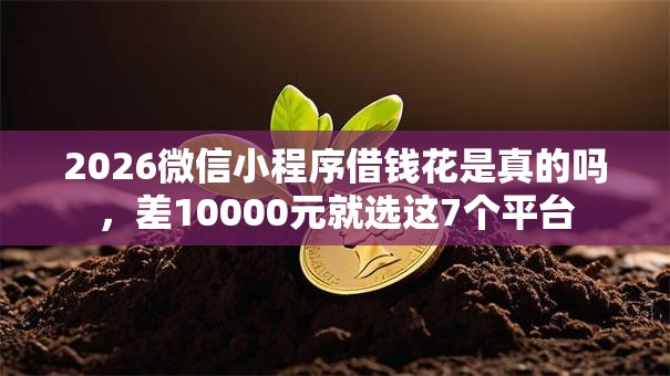 2026微信小程序借钱花是真的吗，差10000元就选这7个平台