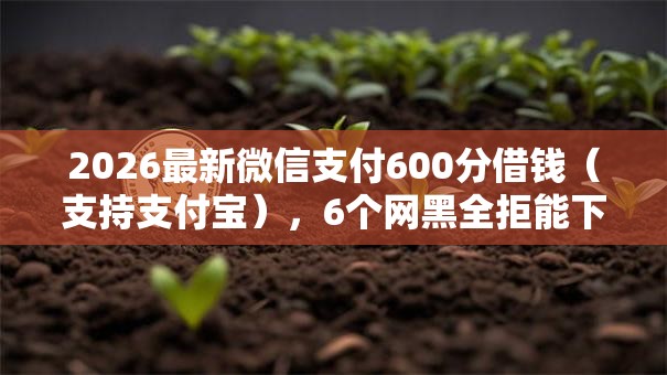 2026最新微信支付600分借钱（支持支付宝），6个网黑全拒能下款的口子无私分享
