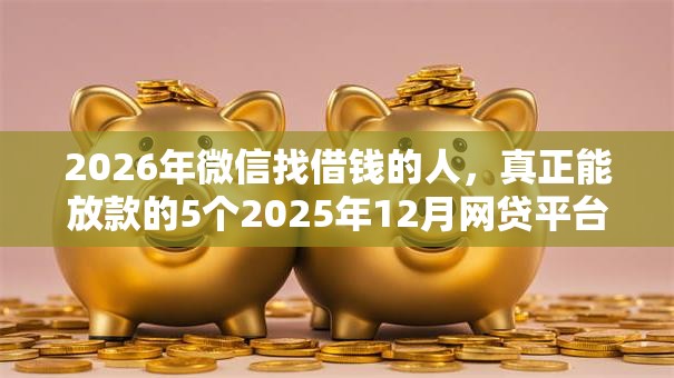 2026年微信找借钱的人,真正能放款的5个2025年12月网贷平台推荐 2026年微信找借钱的人,真正能放款的5个2025年12月网贷平台推荐