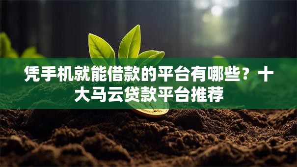 凭手机就能借款的平台有哪些？十大马云贷款平台推荐