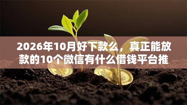 2026年10月好下款么,真正能放款的10个微信有什么借钱平台推荐 2026年10月好下款么,真正能放款的10个微信有什么借钱平台推荐