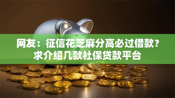 网友：征信花芝麻分高必过借款？求介绍几款社保贷款平台