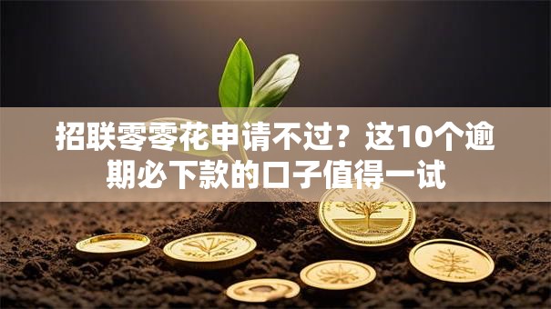招联零零花申请不过？这10个逾期必下款的口子值得一试