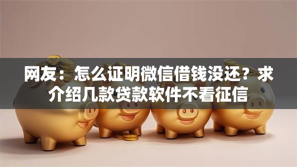 网友：怎么证明微信借钱没还？求介绍几款贷款软件不看征信