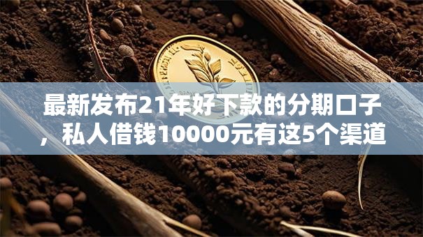 最新发布21年好下款的分期口子，私人借钱10000元有这5个渠道