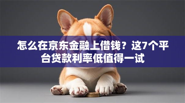 怎么在京东金融上借钱?这7个平台贷款利率低值得一试 怎么在京东金融上借钱?这7个平台贷款利率低值得一试