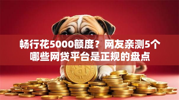 畅行花5000额度？网友亲测5个哪些网贷平台是正规的盘点