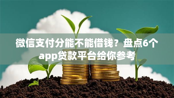 微信支付分能不能借钱？盘点6个app贷款平台给你参考