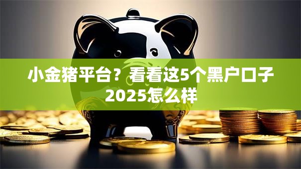 小金猪平台？看看这5个黑户口子2025怎么样