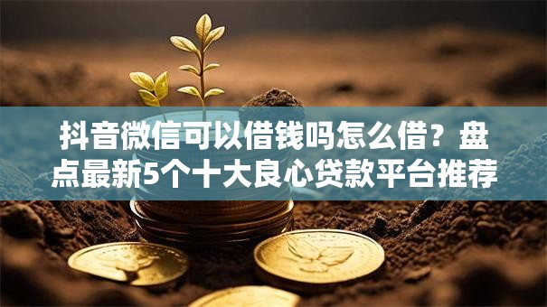 抖音微信可以借钱吗怎么借?盘点最新5个十大良心贷款平台推荐 抖音微信可以借钱吗怎么借?盘点最新5个十大良心贷款平台推荐