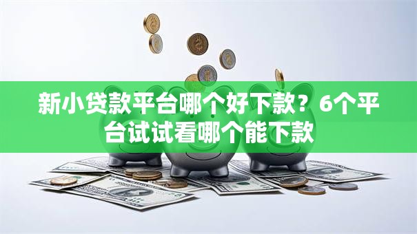 新小贷款平台哪个好下款？6个平台试试看哪个能下款