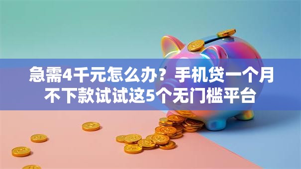 急需4千元怎么办？手机贷一个月不下款试试这5个无门槛平台