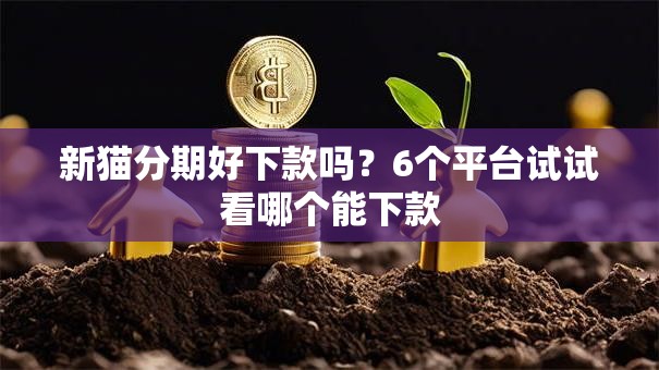 新猫分期好下款吗？6个平台试试看哪个能下款