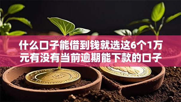 什么口子能借到钱就选这6个1万元有没有当前逾期能下款的口子