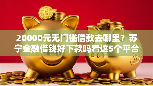 20000元无门槛借款去哪里？苏宁金融借钱好下款吗看这5个平台