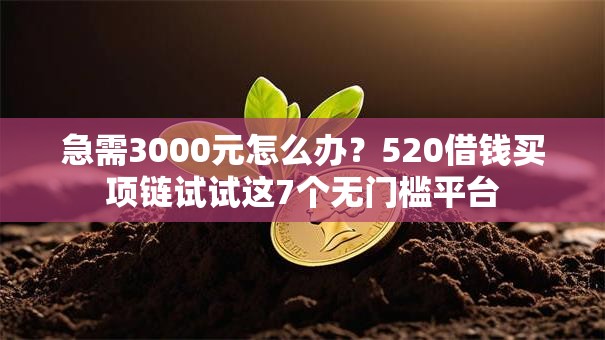 急需3000元怎么办？520借钱买项链试试这7个无门槛平台