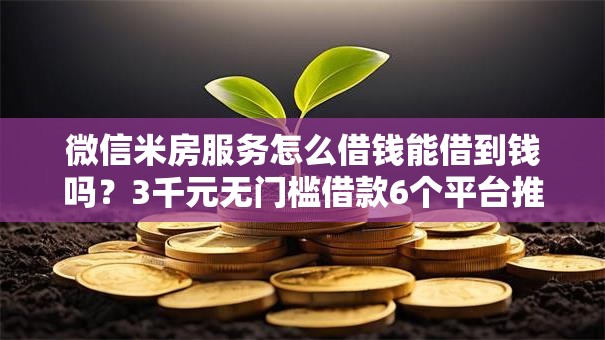 微信米房服务怎么借钱能借到钱吗？3千元无门槛借款6个平台推荐