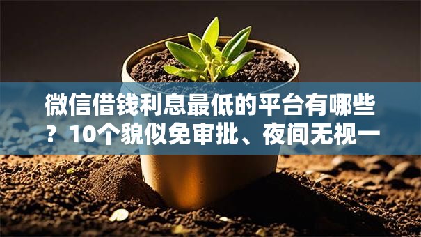 微信借钱利息最低的平台有哪些？10个貌似免审批、夜间无视一切秒下款的高炮口子合集