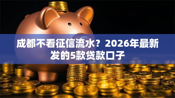 成都不看征信流水？2026年最新发的5款贷款口子