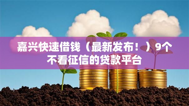 嘉兴快速借钱（最新发布！）9个不看征信的贷款平台