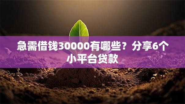 急需借钱30000有哪些?分享6个小平台贷款 急需借钱30000有哪些?分享6个小平台贷款