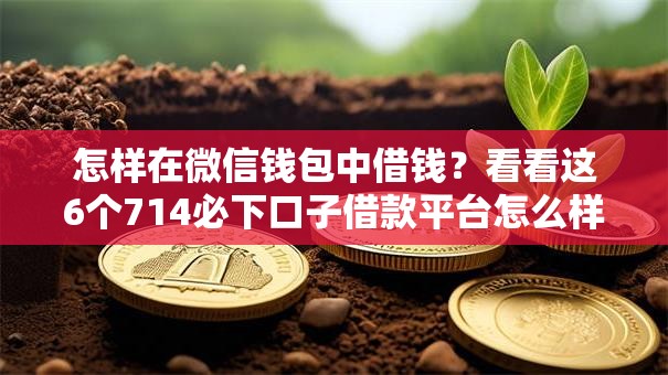 怎样在微信钱包中借钱?看看这6个714必下口子借款平台怎么样 怎样在微信钱包中借钱?看看这6个714必下口子借款平台怎么样