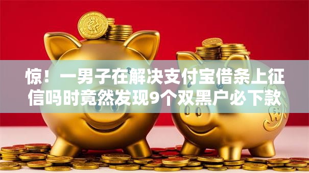 惊！一男子在解决支付宝借条上征信吗时竟然发现9个双黑户必下款的口子2025，事后分享了出来