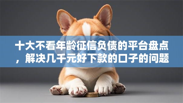 十大不看年龄征信负债的平台盘点，解决几千元好下款的口子的问题