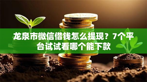 龙泉市微信借钱怎么提现？7个平台试试看哪个能下款