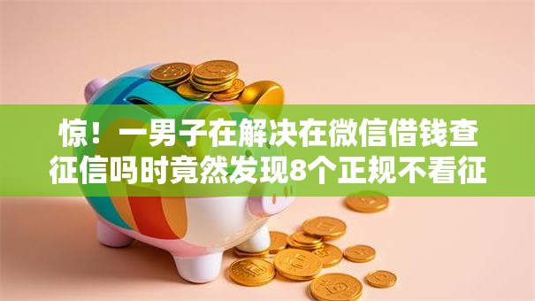 惊！一男子在解决在微信借钱查征信吗时竟然发现8个正规不看征信的小额贷款平台，事后分享了出来