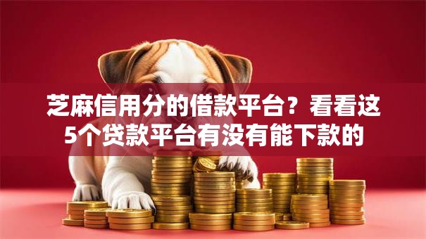 芝麻信用分的借款平台？看看这5个贷款平台有没有能下款的