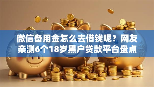 微信备用金怎么去借钱呢？网友亲测6个18岁黑户贷款平台盘点