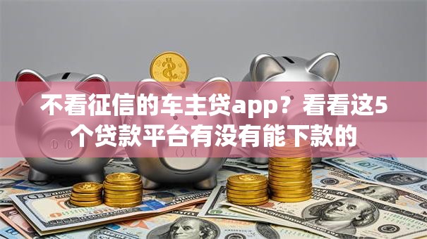 不看征信的车主贷app？看看这5个贷款平台有没有能下款的