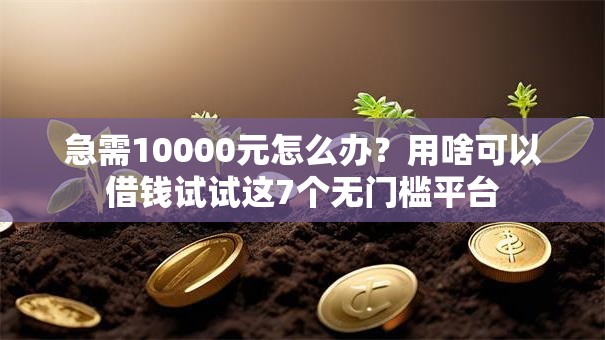 急需10000元怎么办？用啥可以借钱试试这7个无门槛平台