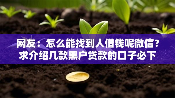 网友：怎么能找到人借钱呢微信？求介绍几款黑户贷款的口子必下
