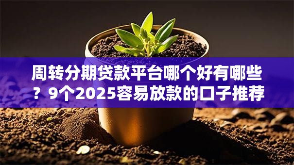 周转分期贷款平台哪个好有哪些？9个2025容易放款的口子推荐给你
