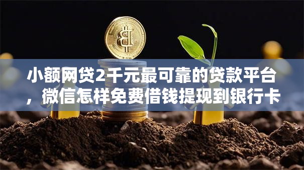 小额网贷2千元最可靠的贷款平台，微信怎样免费借钱提现到银行卡的8个平台介绍