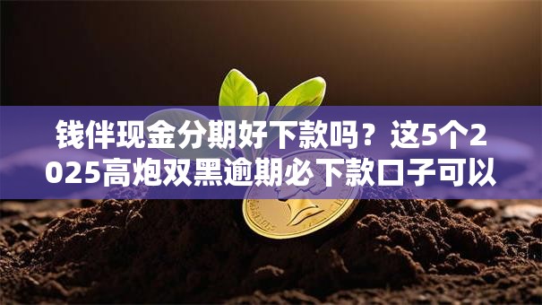 钱伴现金分期好下款吗？这5个2025高炮双黑逾期必下款口子可以试试