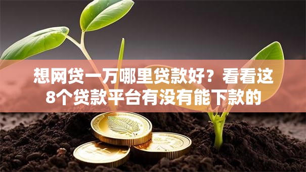 想网贷一万哪里贷款好?看看这8个贷款平台有没有能下款的 想网贷一万哪里贷款好?看看这8个贷款平台有没有能下款的