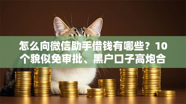 怎么向微信助手借钱有哪些?10个貌似免审批、黑户口子高炮合集 怎么向微信助手借钱有哪些?10个貌似免审批、黑户口子高炮合集